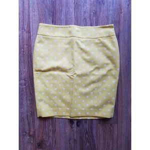 NWT Ann Taylor polka dot skirt